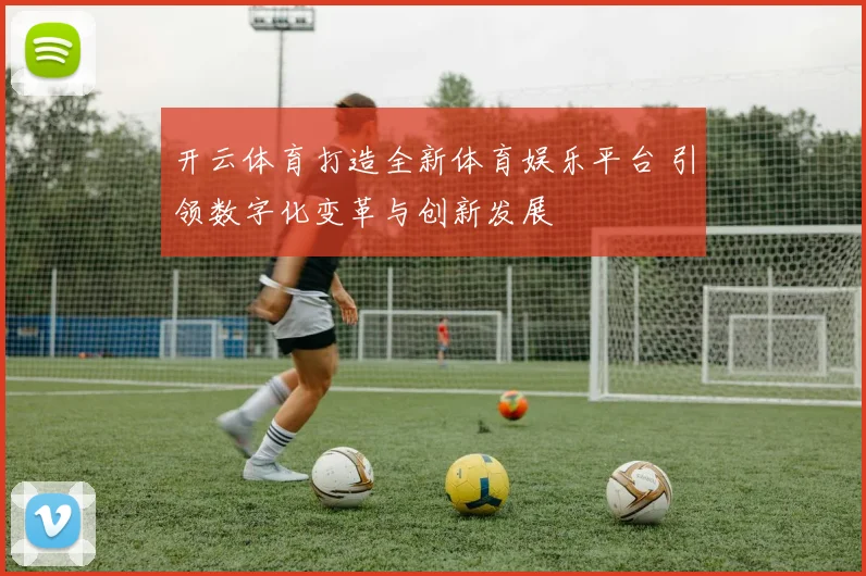 开云体育打造全新体育娱乐平台 引领数字化变革与创新发展